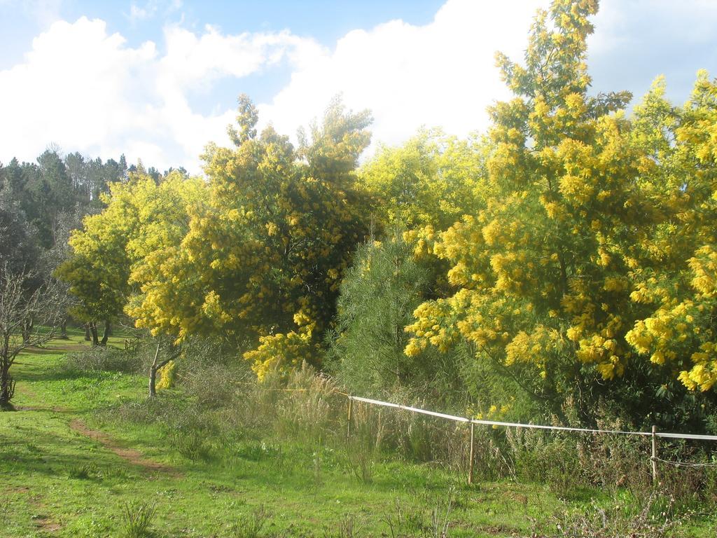Monte Da Gravita Ribeira do Salto Δωμάτιο φωτογραφία