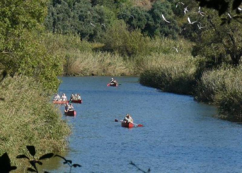 Monte Da Gravita Ribeira do Salto Εξωτερικό φωτογραφία